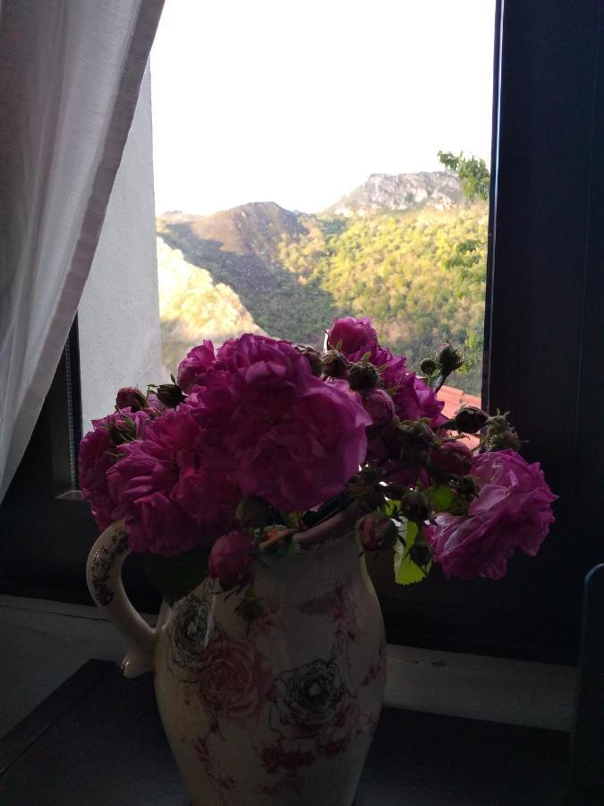 Vis 101 Bed & Breakfast Vista  Ngoại thất bức ảnh